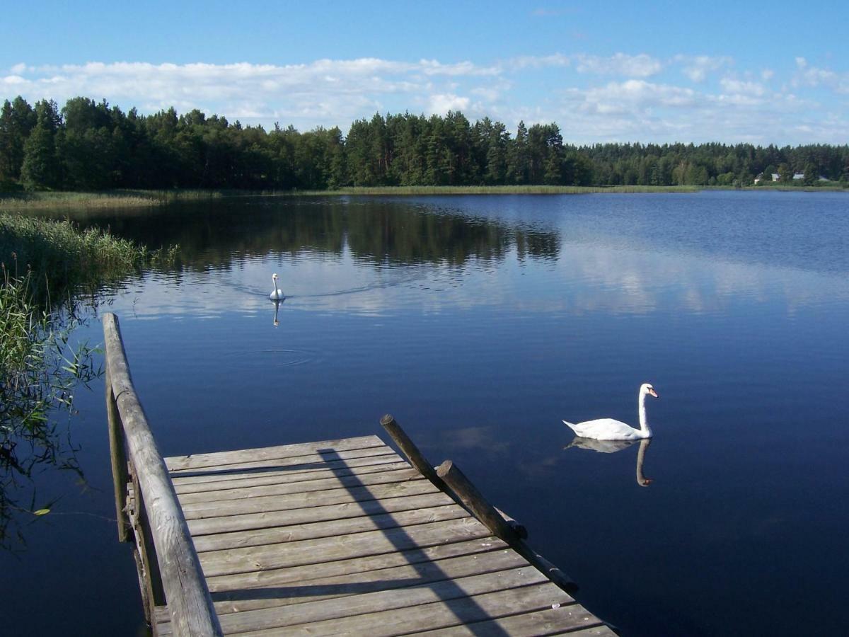 Domwigierski Pl -Jeziorki -Gr- Comfort-Ferienhaus-Polen - Wlasna Linia Brzegowa I Sauna Wysoki Most  Ngoại thất bức ảnh