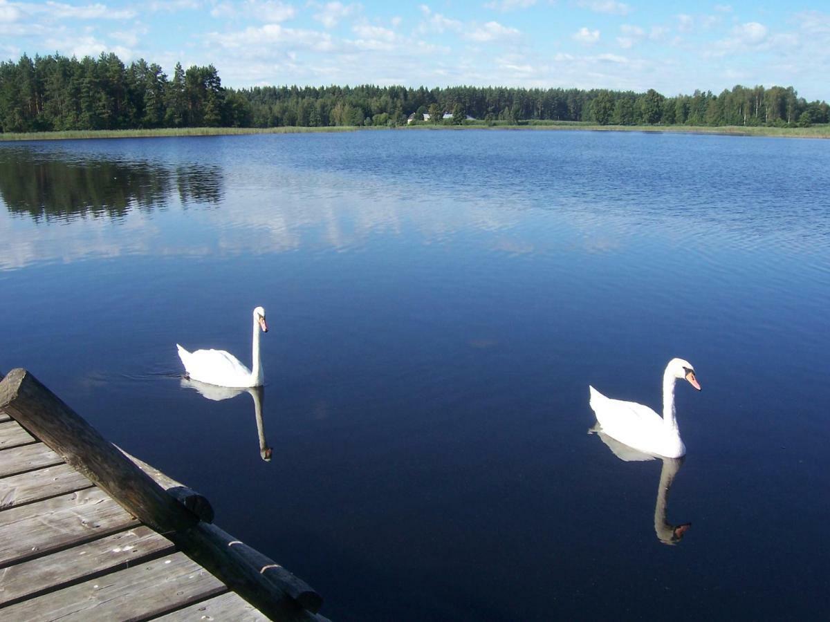 Domwigierski Pl -Jeziorki -Gr- Comfort-Ferienhaus-Polen - Wlasna Linia Brzegowa I Sauna Wysoki Most  Ngoại thất bức ảnh